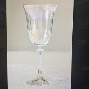 Anthropologie Set of 2 New York City Ballet Wine Glass